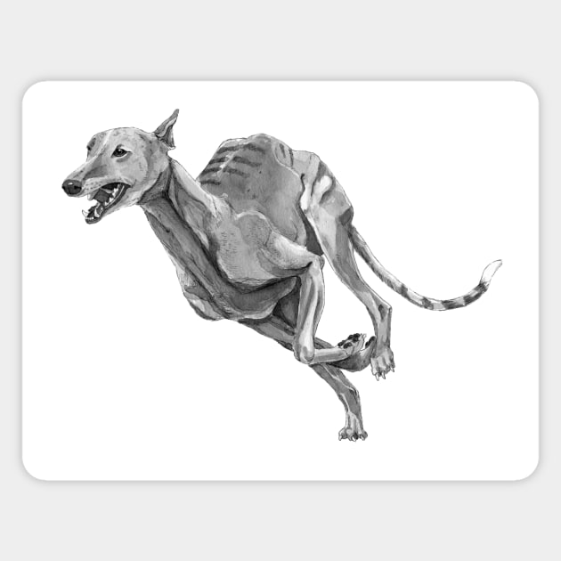 Greyhound Sticker by doggyshop